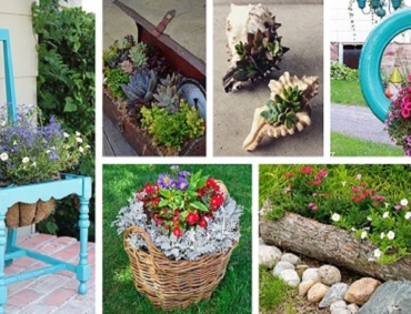 8 Best Green Plants for a Safe and Interesting Home 1 Plants online